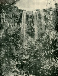 Wodospad Sailors Creek, Daylesford, 1901.