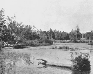 Scena w Mississippi, USA, ok. 1900.