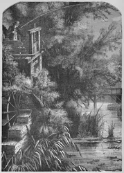 Scena na potoku opróżniającym się do małej Juniaty, 1883