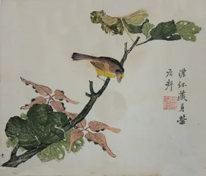 Nasiona i Aleuryty Cordata : Strona z The Mustard Seed Garden Manual z..., 1782, wydanie drugie.