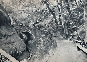Shanklin - Chińczyk, 1895
