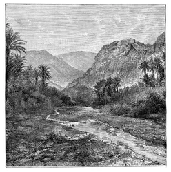 Synaj, Egipt, 1895
