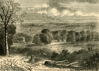 Miejsce Kryształowego Pałacu w 1852 r., ok. 1878 r.