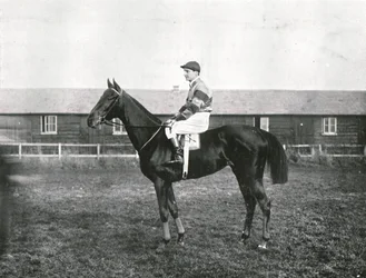 Drapacz chmur, 1911.