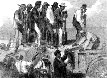 Niewolnicza siła robocza wzmacniająca fortyfikacje Savannah, Georgia, wojna secesyjna, 1863