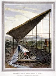Niewolnicy myjący diamenty, pilnowani przez nadzorców z biczami, Brazylia, 1815 r