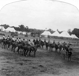Dzień sportu w Narsampet, Indie, 1905