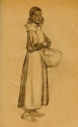 Studium, 1900