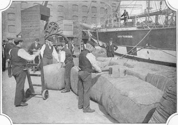 Zliczanie bel wełny w London Docks, ok. 1900 1901 r.