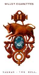 Byk, Byk, 1923