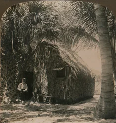 Kryty strzechą domek w Cocoanut Grove, Floryda, USA, c1900