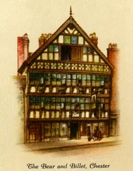 Niedźwiedź i kęs, Chester, 1936.