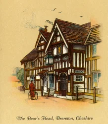 Głowa niedźwiedzia, Brereton, Cheshire, 1936.