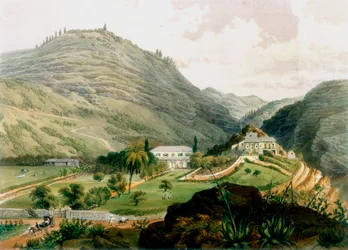 Briars, Św. Helena, początek XIX wieku 1851