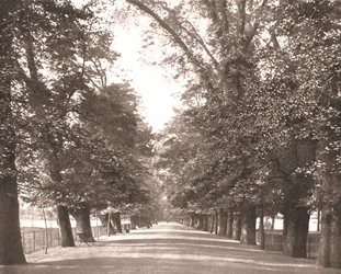 The Broad Walk, Oksford, 1894.
