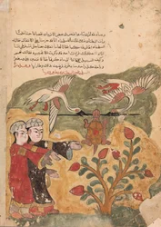 Lot żółwia, Folio z Kalila wa Dimna, XVIII w.