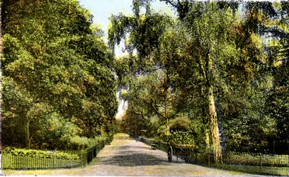 The Flower Walk, Kensington Gardens, Londyn, XX wiek