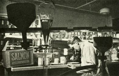 Wielki przemysł łososiowy, ok. 1948.