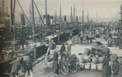 Sezon śledziowy w pełnym rozkwicie, 1937