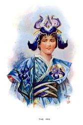 Irys, 1899