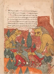 Lwica radzi synowi, Folio z Kalila wa Dimna, XVIII wiek.