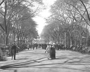 Centrum handlowe, Central Park, Nowy Jork, USA, ok. 1900.