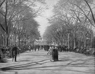 Centrum handlowe, Central Park, Nowy Jork, ok. 1897.