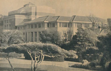 Nowy Pawilon, 1929