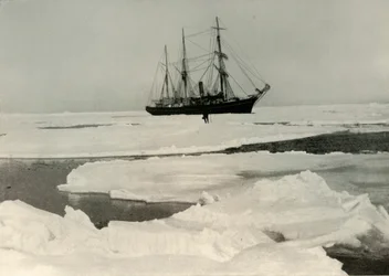 Nimrod przepycha się przez bardziej otwarte opakowanie, c1908, 1909