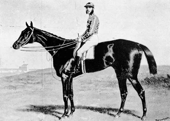 Uzurpator, ok. 1870, 1911
