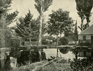 Stawy łososiowe, New Norfolk, 1901.
