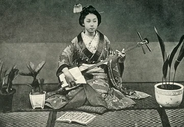 „Samisen”, 1891.