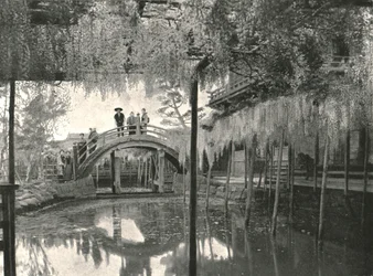 Te New Ginoike Pon d Plan d Wisteria, Kameido, Toi, Japonia, 1895.
