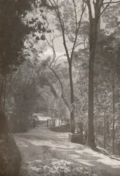 Duch Tijuki, 1914