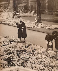 Państwowy pogrzeb króla Jerzego V w Windsor: wieńce na pamiątkę, 1936