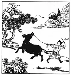 The Ten Oxherding Pictures Puming (Fumyo), autor nieznany, Etap 2: oswajanie, początek dyscypliny (zdjęcie)