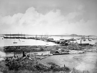 Port, Auckland, Nowa Zelandia, c1870-1880