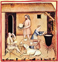 Produkcja sera. Miniatura z Tacuinum Sanitatis, II poł.