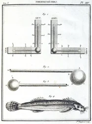 Termometry