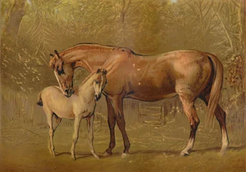 Klacz pełnej krwi i źrebię, ok. 1879.