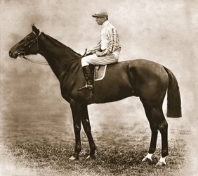 Piorun, 1911.