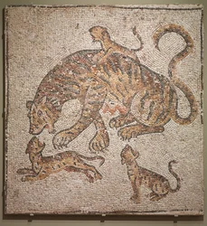 Tygrysica i młode, 300s.
