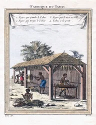 Fabryka tytoniu, 1780
