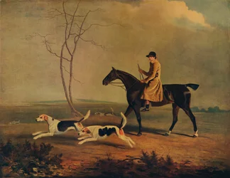 Tom Oldaker, Łowca Berkley Hounds, na Pickle, z psami, 1800, 1929