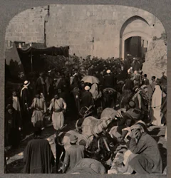 Ruch uliczny przy Bramie św. Szczepana, Jerozolima, ok. 1900