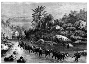 Podróżowanie po Griqualand, RPA, ok. 1890 r.