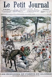Oddziały próbujące powstrzymać pożar lasu, Algieria, 1904