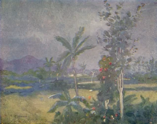Tropikalne deszcze w Indiach Zachodnich, 1924