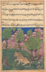 Tuti-Nama Opowieści papugi: Opowieść XXVIII: Małpa doradza podejrzliwemu lwu..., c. 1560.