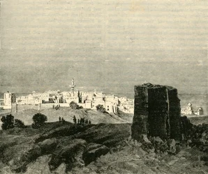 Opona, 1890.